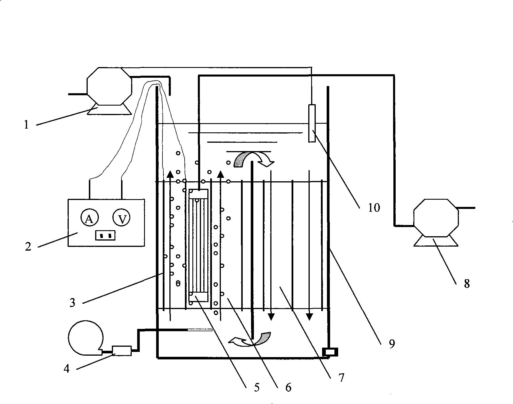 Apparatus and method for removing phosphor and organic matter in sewage water with electric flocculation membrane bioreactor