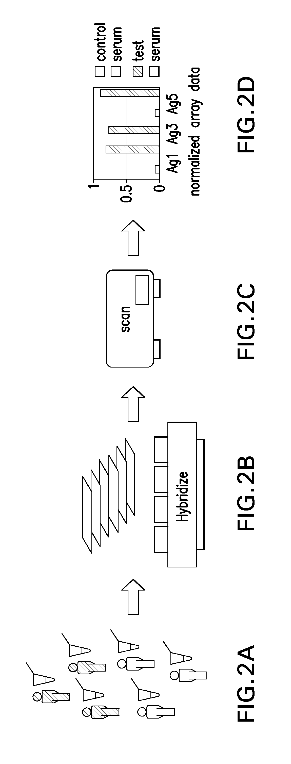 Autoantibody detection systems and methods
