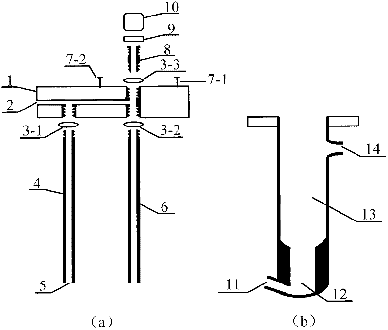 Liquid organic atomization and gasification device