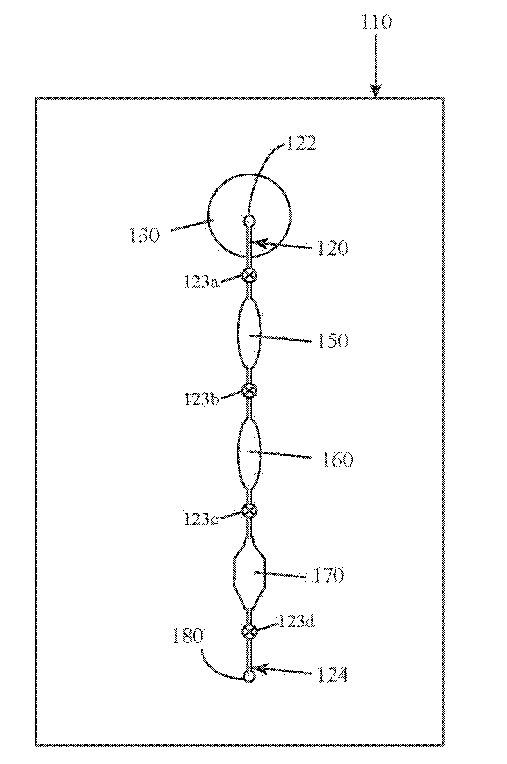 Device for preparation and analysis of nucleic acids