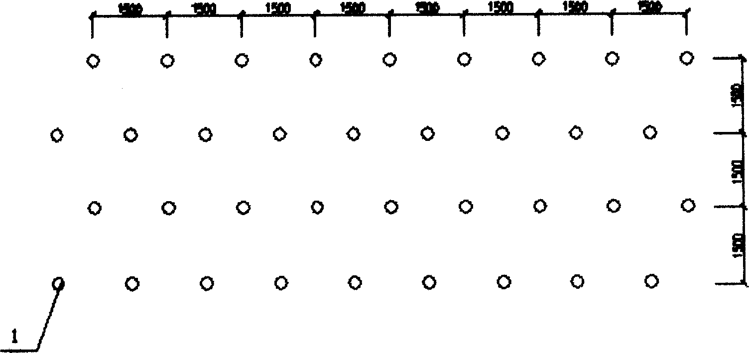 Method for harnessing chemical production thiamine crystallization tank region local geological foundation pollution