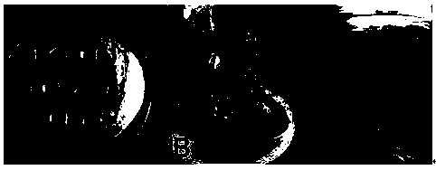 Agrobacterium tumefaciens mediated efficient glycyrrhiza glabra genetic transformation method