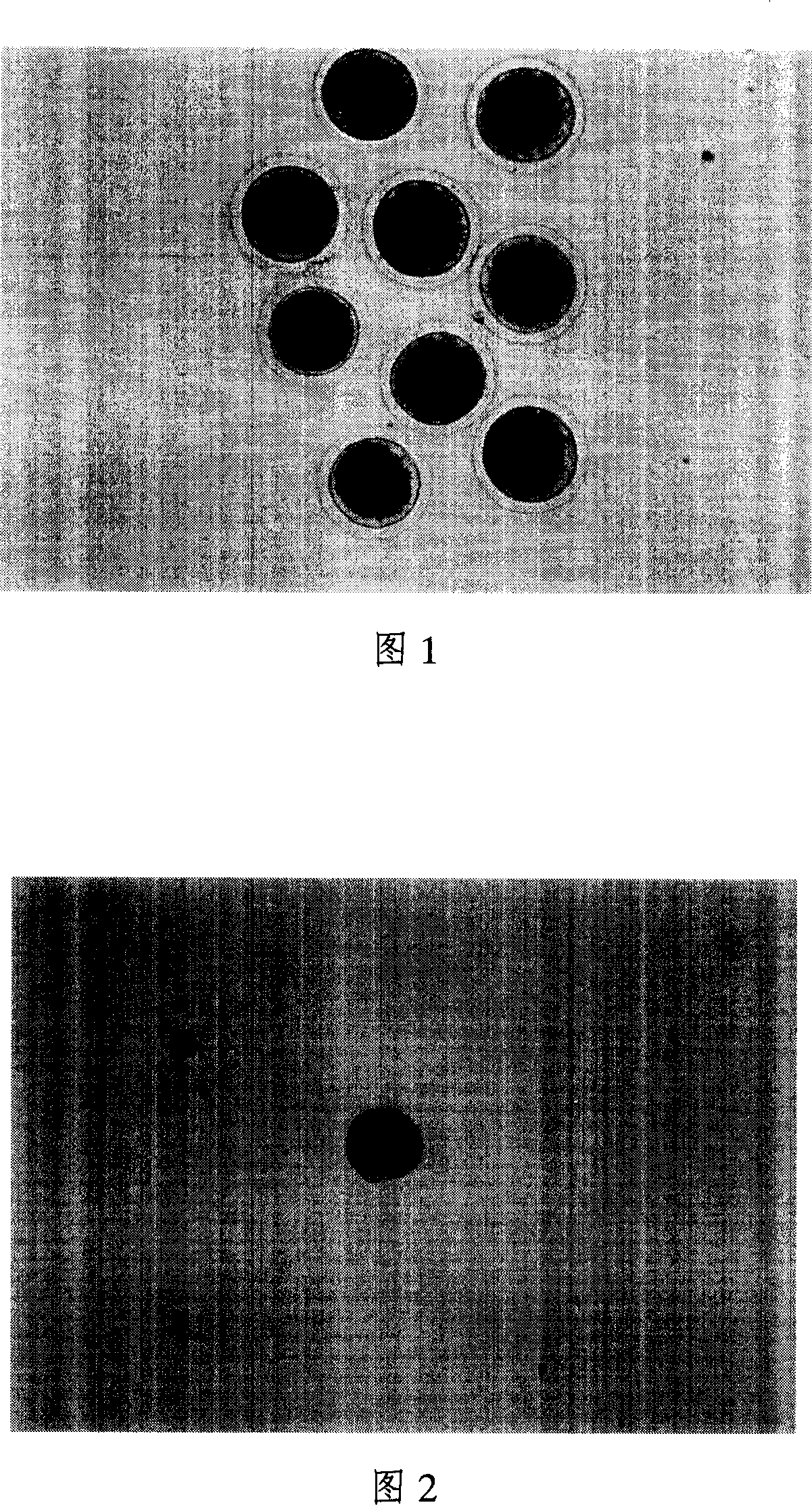 Method for slaking oocyte transparent tape
