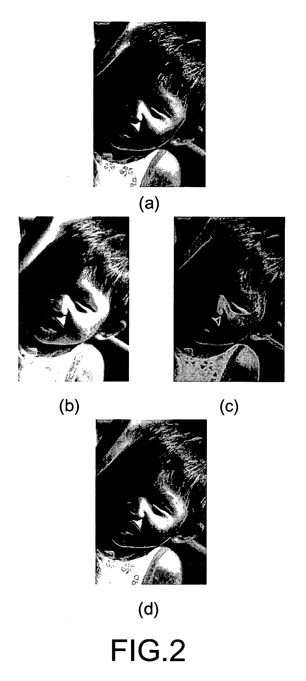 Apparatus and method for improving recognition performance for dark region of image