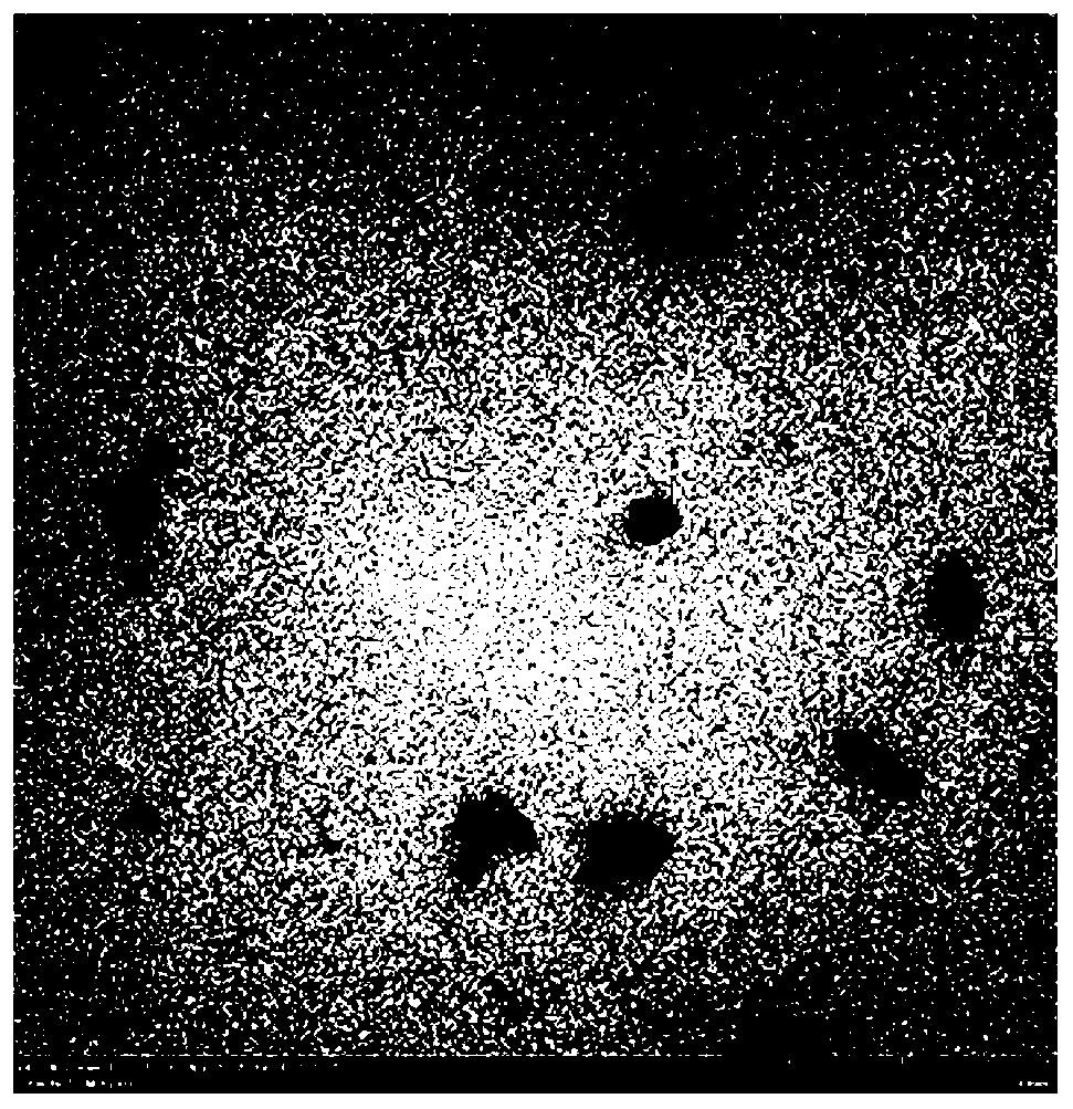 Anti-chlorine and antibacterial molybdenum disulfide/polyester composite nanofiltration membrane with photo-thermal conversion effect and preparation method of composite nanofiltration membrane