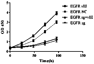 A method for simultaneously knocking out EGFRWT and EGFRVIII in glioblastoma