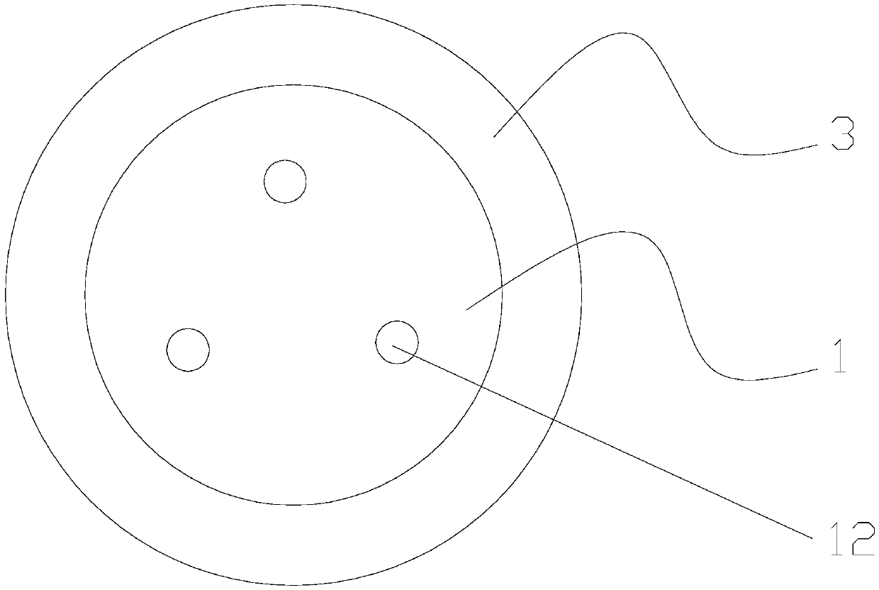 Direct insertion type laser white light source