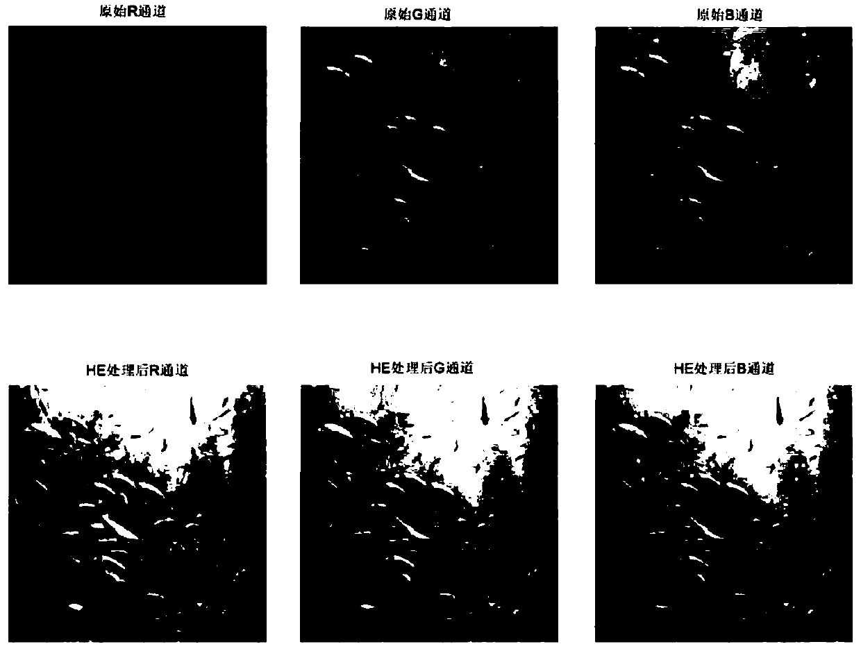 Underwater image enhancement method for optimizing CLAHE