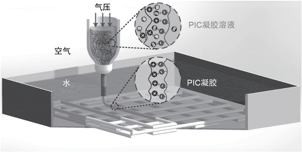 Method for preparing high-strength and high-toughness poly-ion hydrogel support through 3D printing