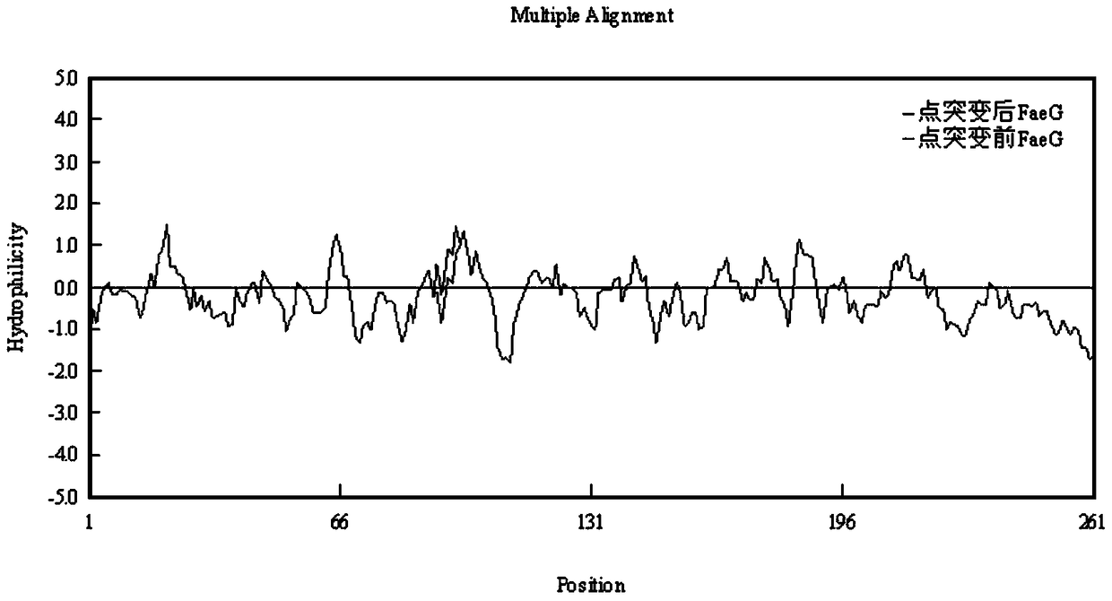 An optimized polyvalent antigen gene sequence of enterotoxigenic Escherichia coli and its application in preventing diarrhea in weaned piglets