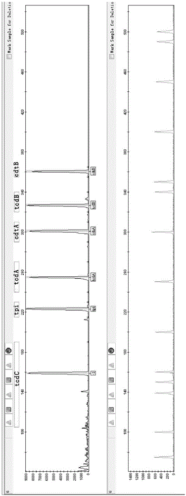 A fluorescent-labeled multiple PCR Clostridium difficile detection kit