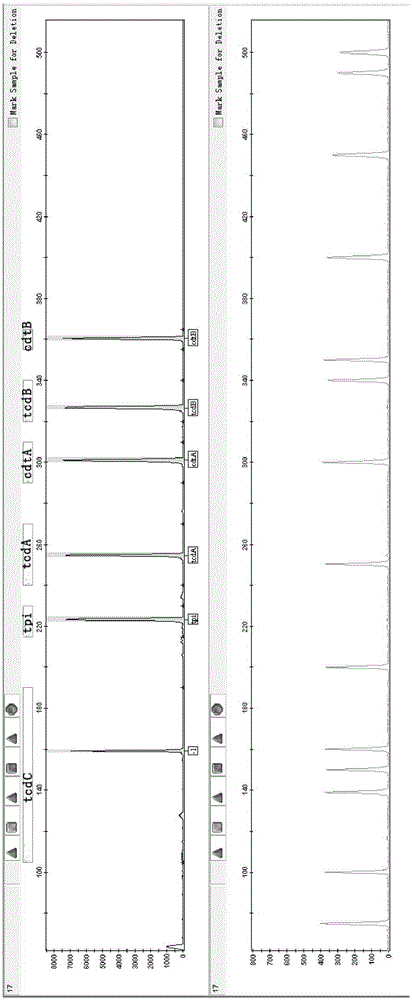 A fluorescent-labeled multiple PCR Clostridium difficile detection kit