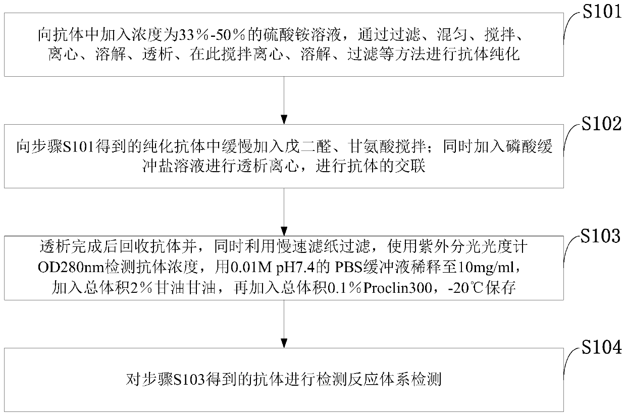 Preparation method of HA (hyaluronic acid) blocking agent and antibody detection system