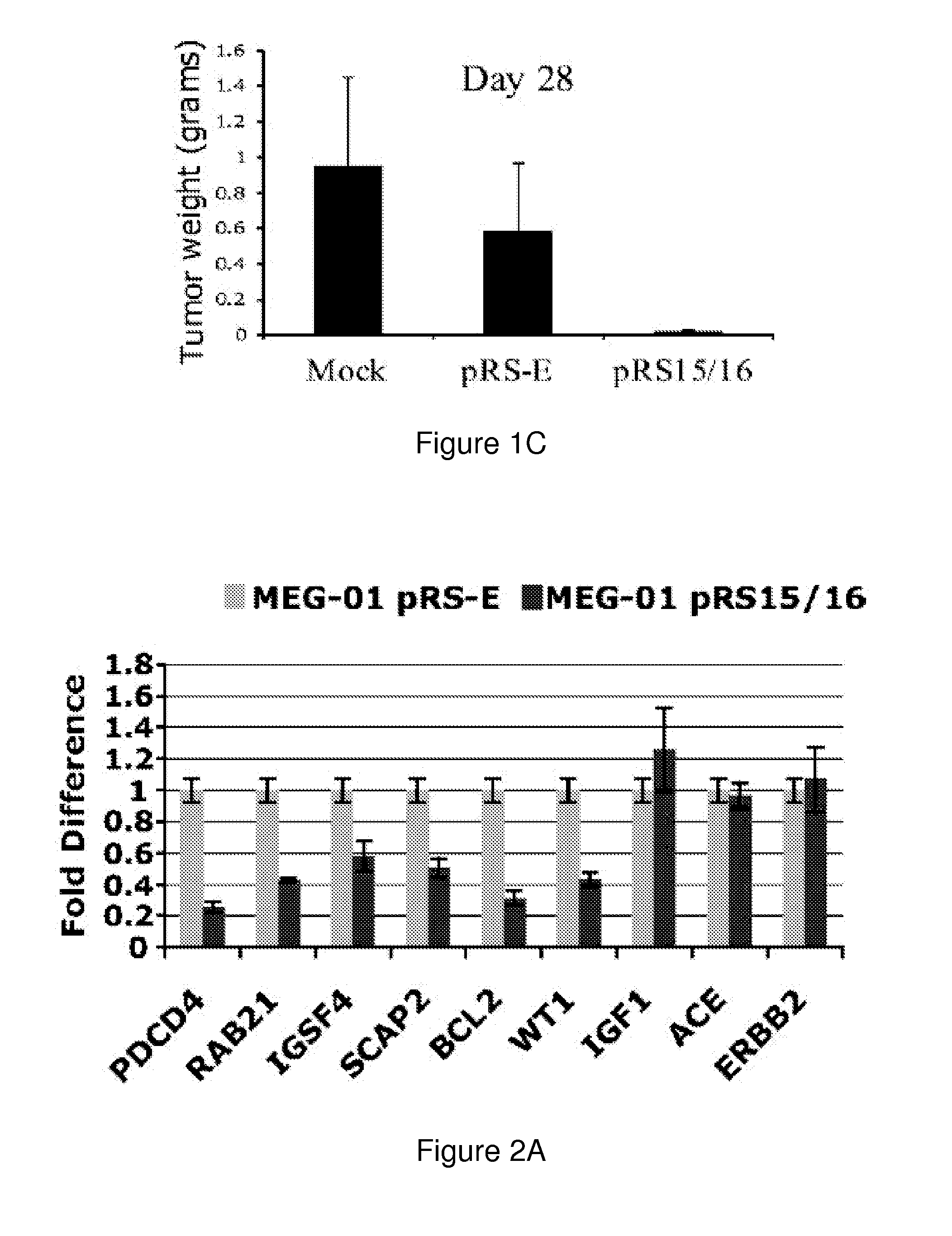 MicroRNA Signatures Associated with Human Chronic Lymphocytic Leukemia (CLL) and Uses Thereof