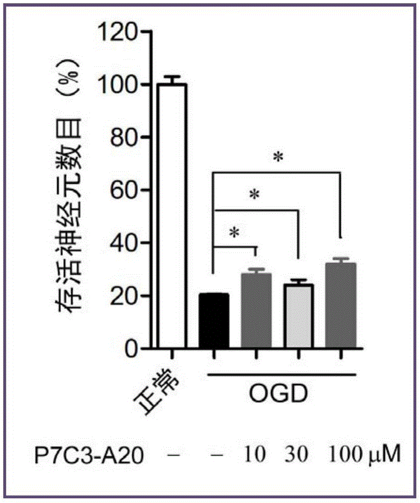 Use of compound P7C3-A20 in preparation of drug for treating cerebral ischemic diseases