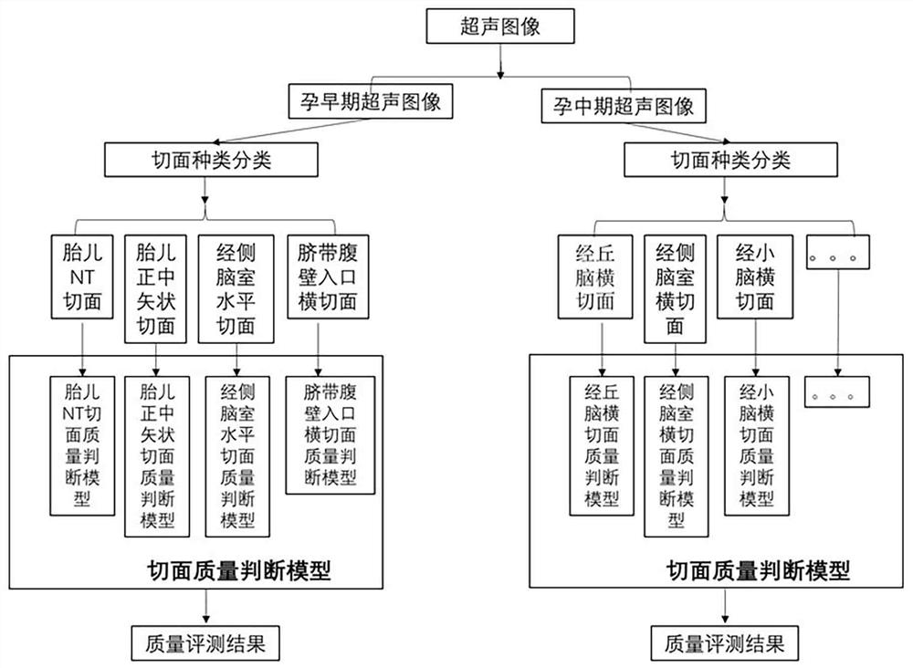 Standardized quality control method, system and equipment for ultrasonic image at early pregnancy stage or middle pregnancy stage