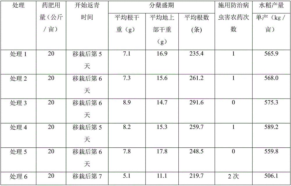 Medicine fertilizer for promoting rice to turn green and strengthening plants