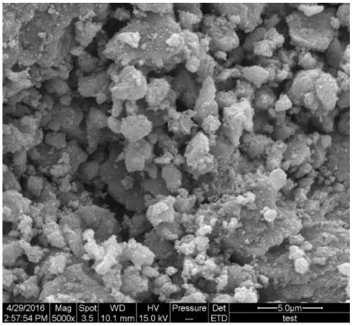 Preparation method and application of magnetic biological flocculant