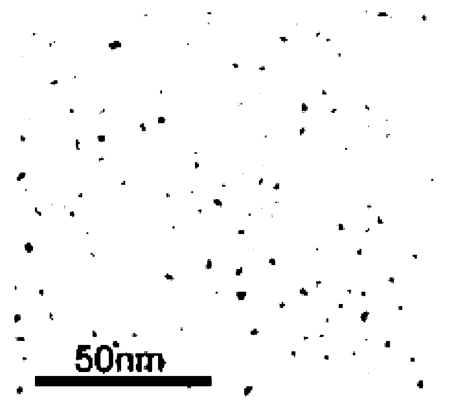 Preparation method of carbon quantum dot test paper strip for detecting P24 antigen