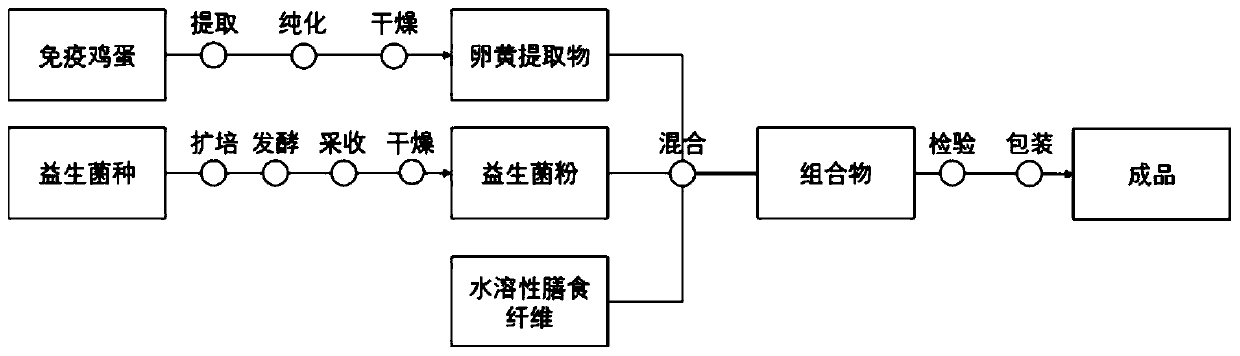 Probiotic composition containing egg yolk antibody IgY and application preparation