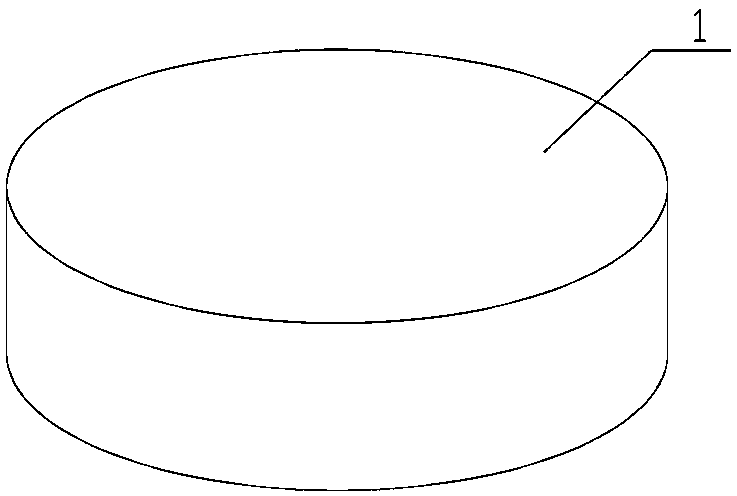 Spore-print making box and method for field preparation of large fungal spore print by using same