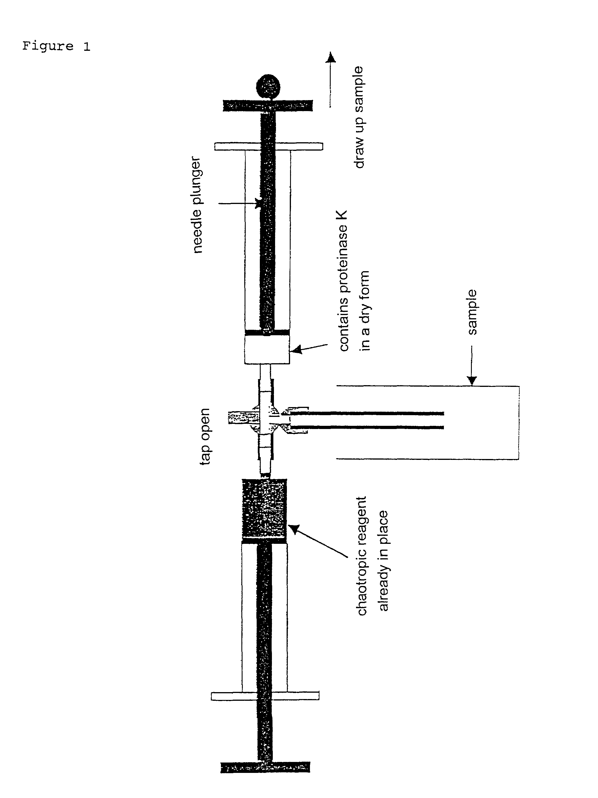 System for simple nucleic acid analysis