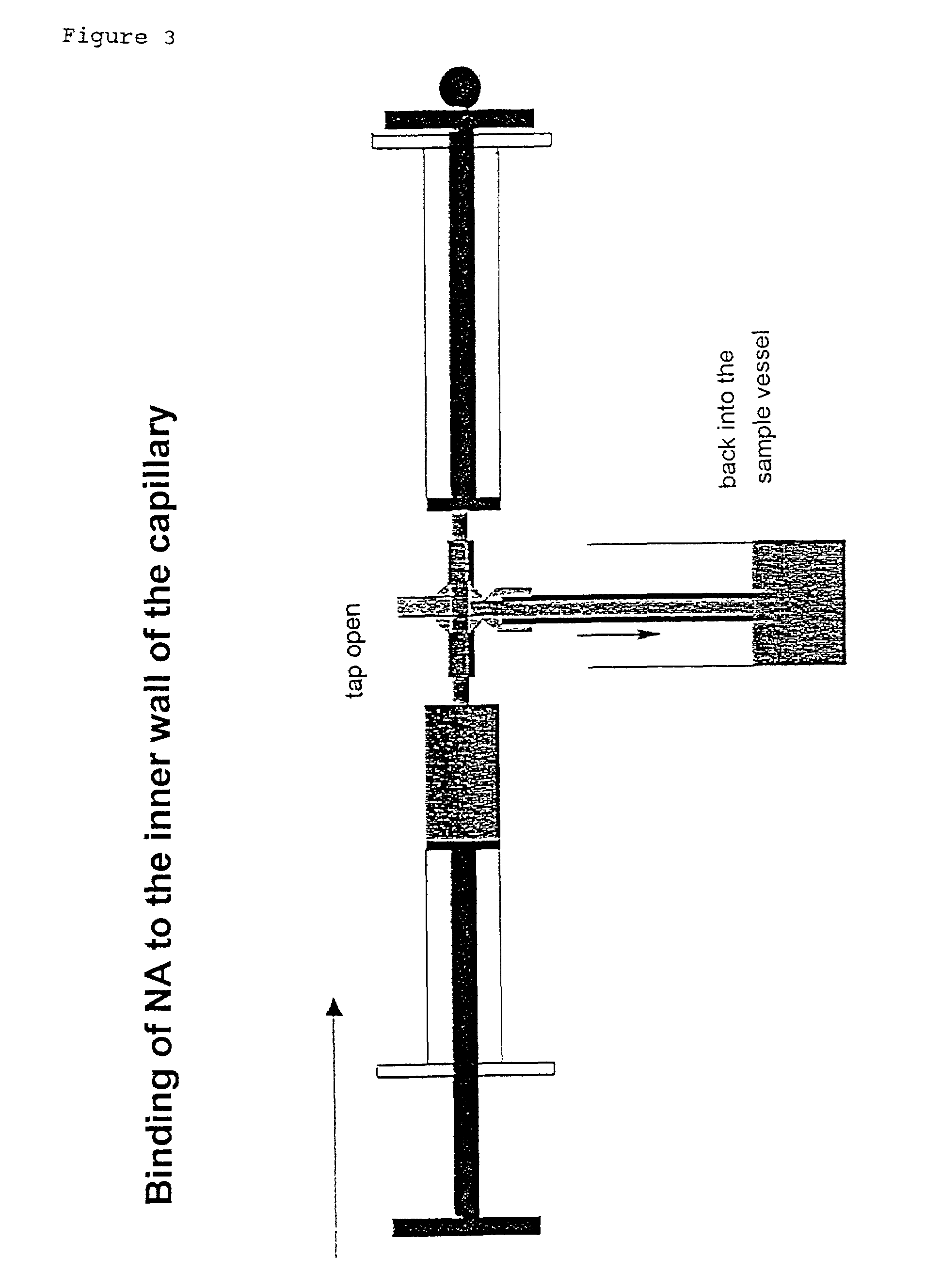 System for simple nucleic acid analysis