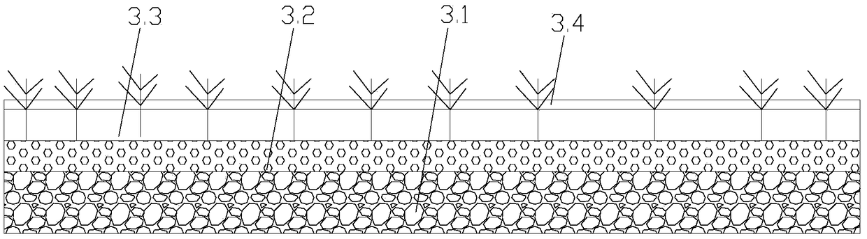 An immobilized microorganism-plant combination ecological treatment system and its application