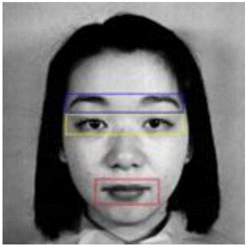 Facial emotion recognition method based on depth sparse self-encoding network