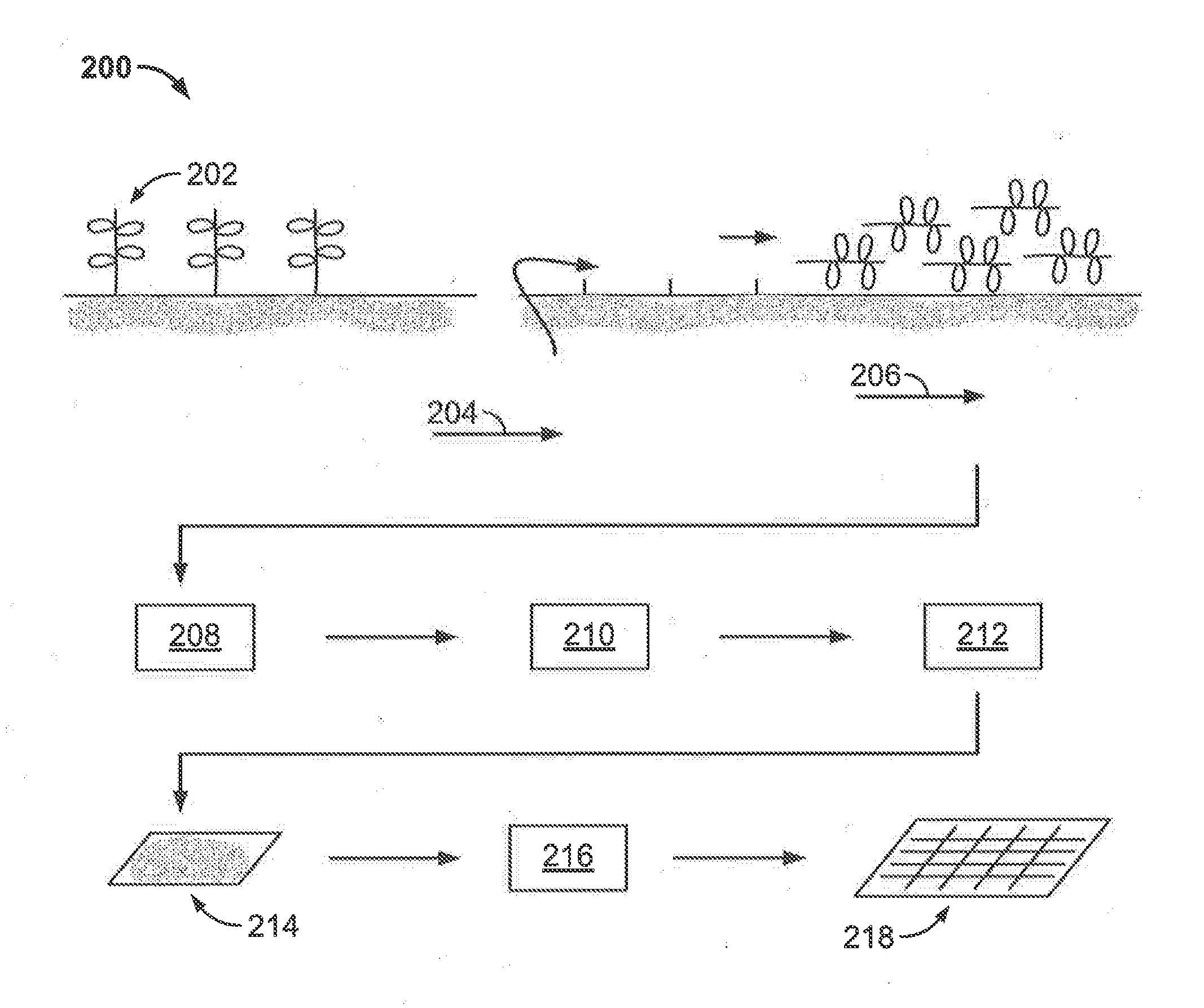 Systems and Methods for Producing Biochar-Based Products