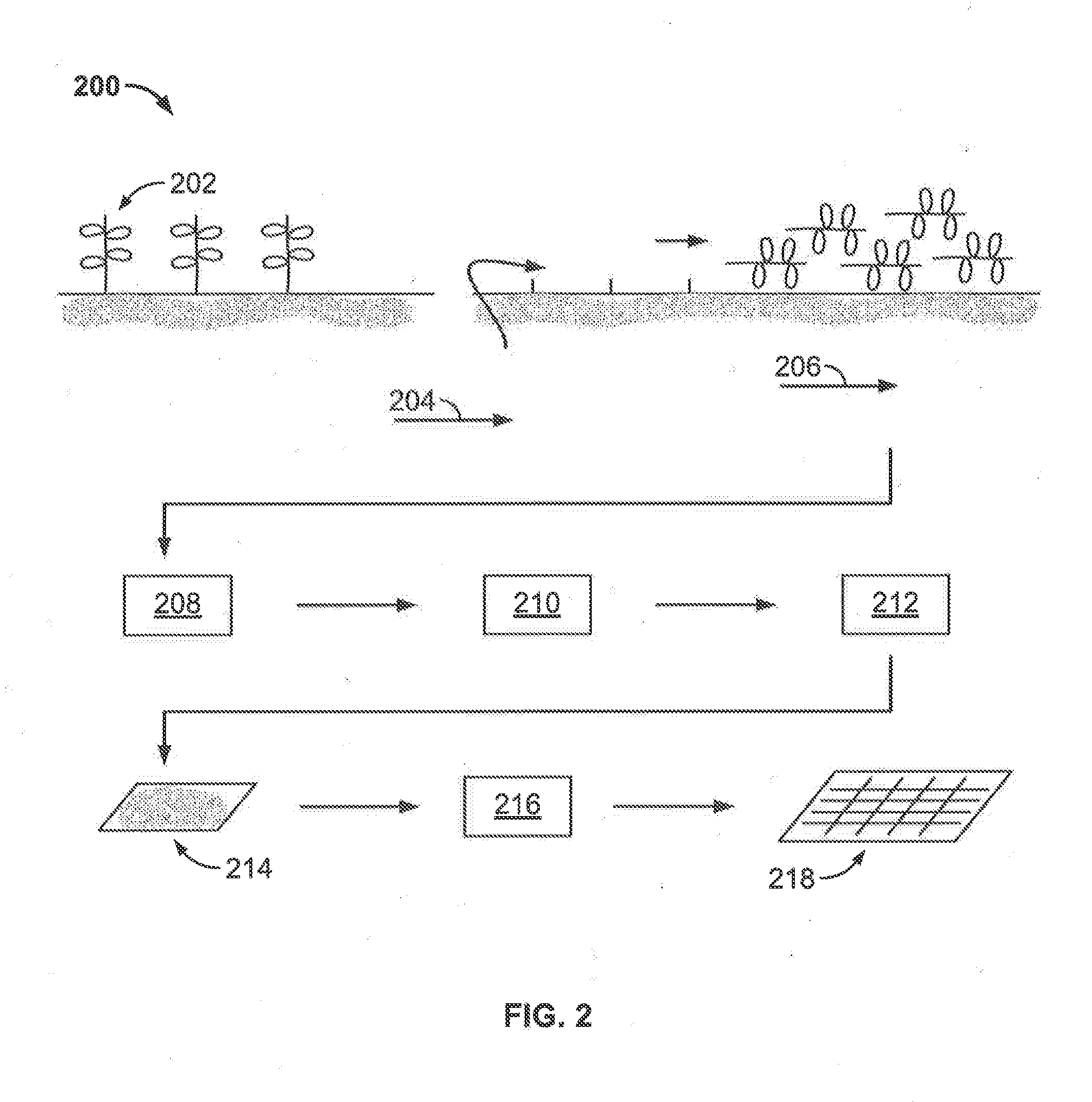 Systems and Methods for Producing Biochar-Based Products