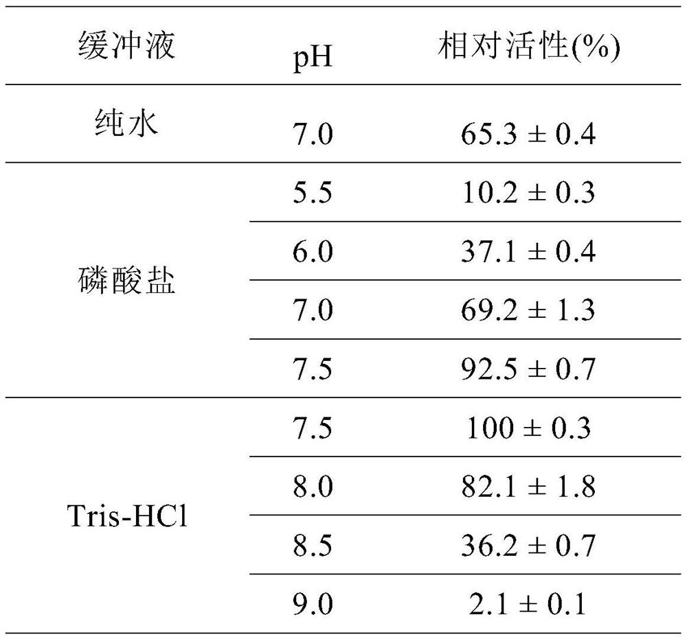 Recombinant carnosine hydrolase mutant and application thereof