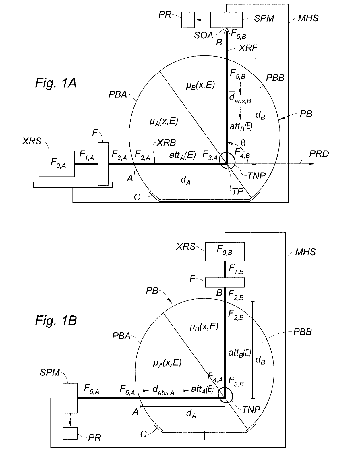 Apparatus for performing nanoparticle-assisted external beam radiotherapy and method carried out using said apparatus