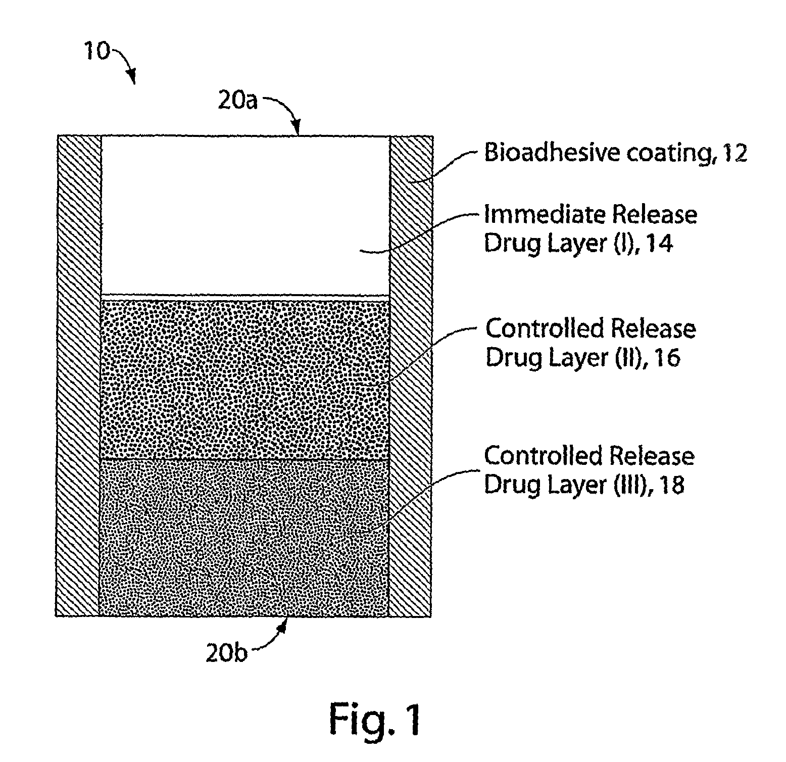 Multi-Layer Tablets and Bioadhesive Dosage Forms