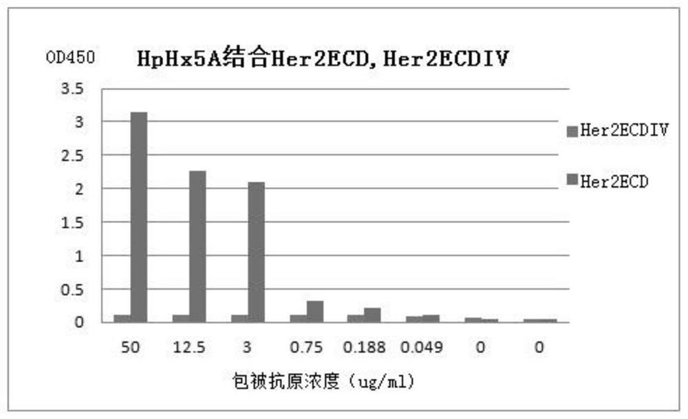 Single domain antibody and detection kit for human epidermal growth factor receptor 2 and application of single domain antibody