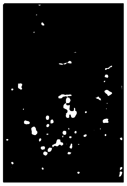 Multi-temporal Hyperspectral Image Classification Method Preserving Global Geometry Structure Based on Spatial Spectral Features