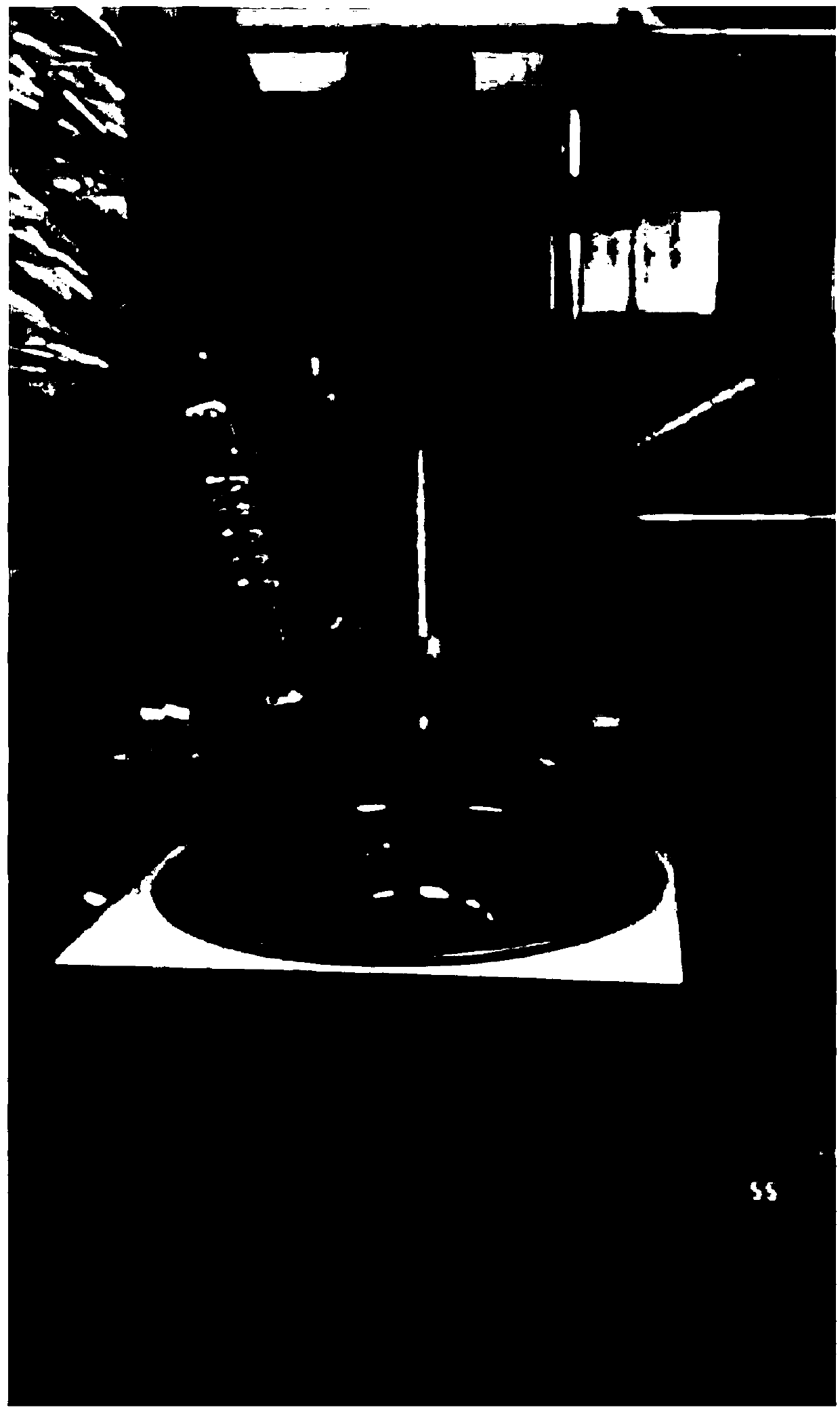 Preparation method of adenylosuccinic acid or adenylosuccinate