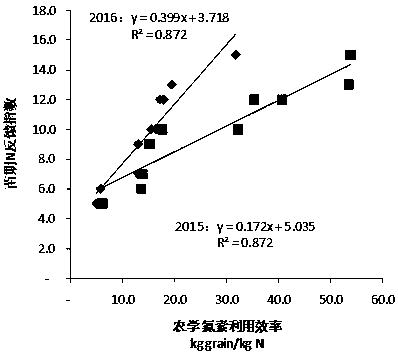 Method for identifying rice nitrogen efficient varieties in seedling stage