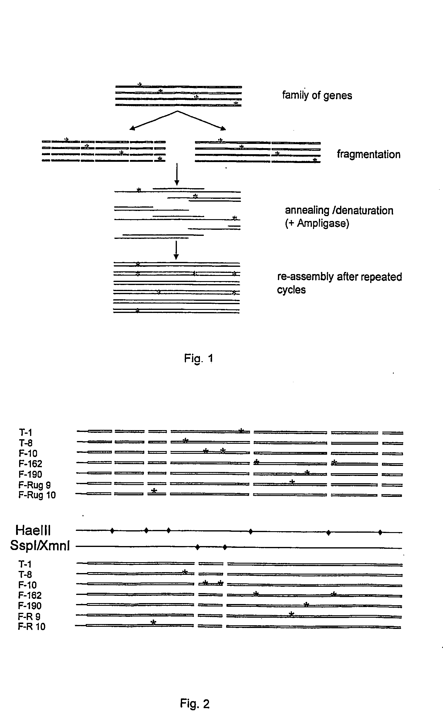 Process for preparing variant polynucleotides