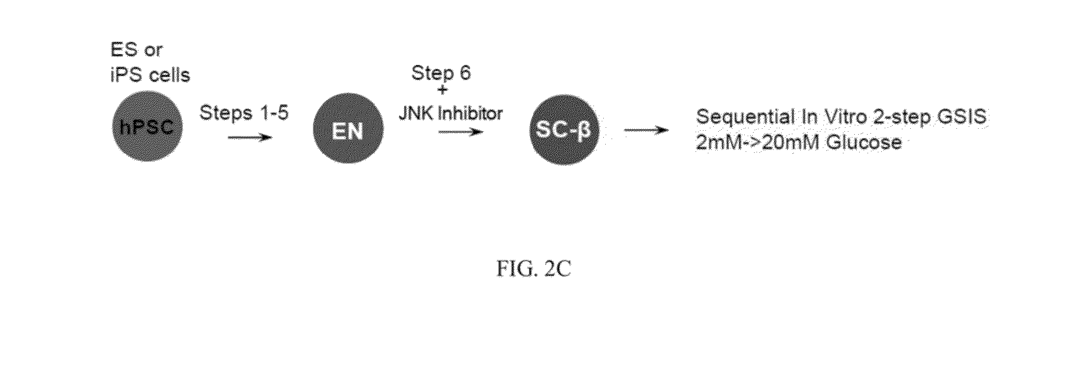 Methods for generating stem cell-derived beta cells and uses thereof