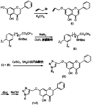 Chrysin non-natural amino acid derivative as well as preparation method and application thereof