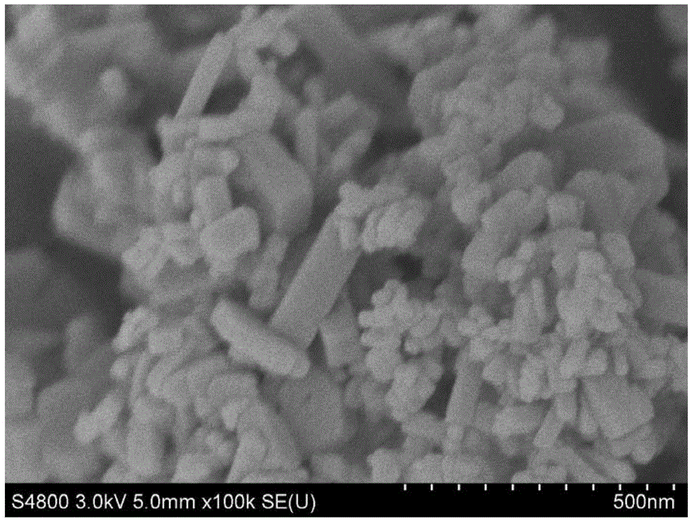 A gd doped bivo  <sub>4</sub> Photocatalyst and its preparation method and application