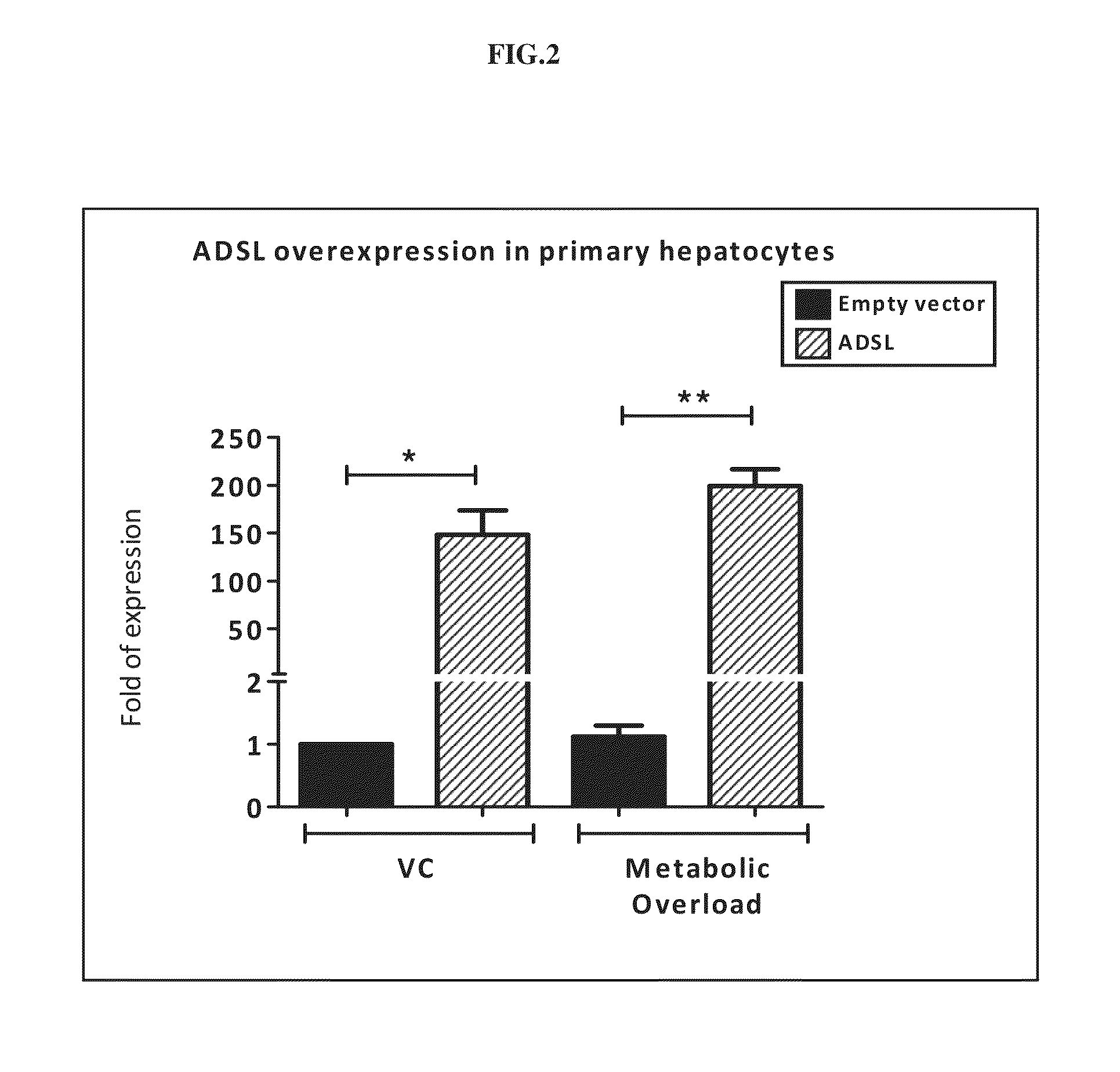Use of ADSL activator to achieve glycemic control in mammals