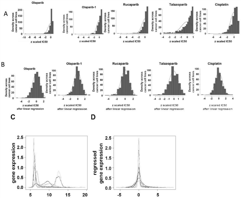 Application of biomarker for predicting sensitivity of tumor patient to specific anti-tumor drug