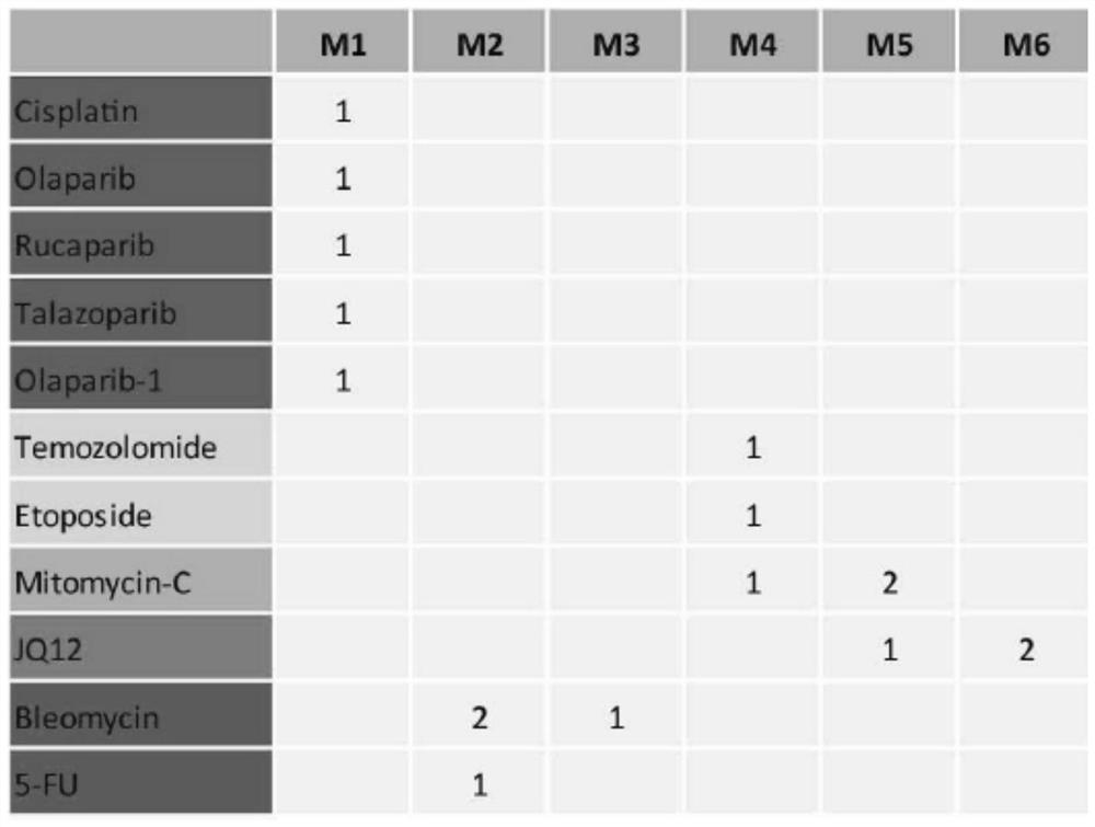 Application of biomarker for predicting sensitivity of tumor patient to specific anti-tumor drug