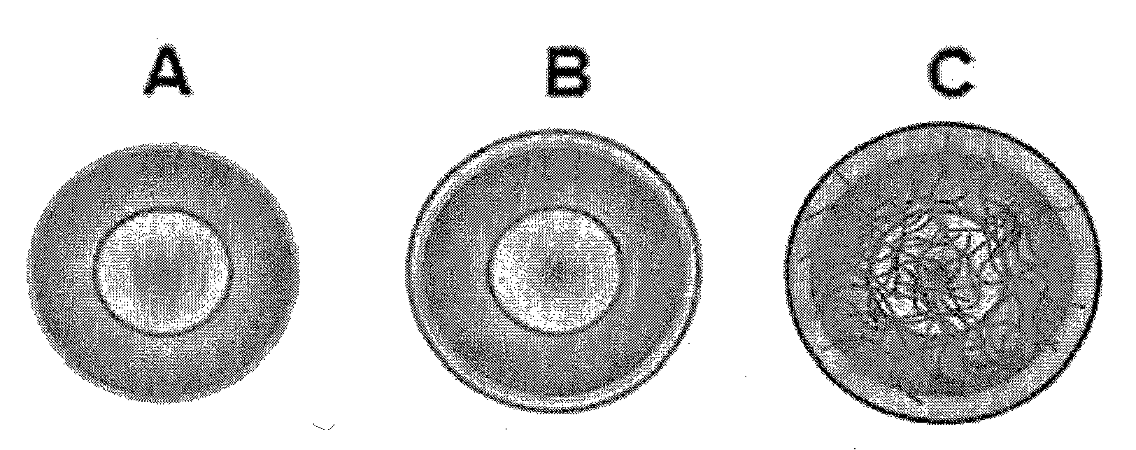 Porous hollow silica n anop articles, preparation method of the silica nanoparticles, and drug carriers and pharmaceutical composition comprising the silica nanoparticles