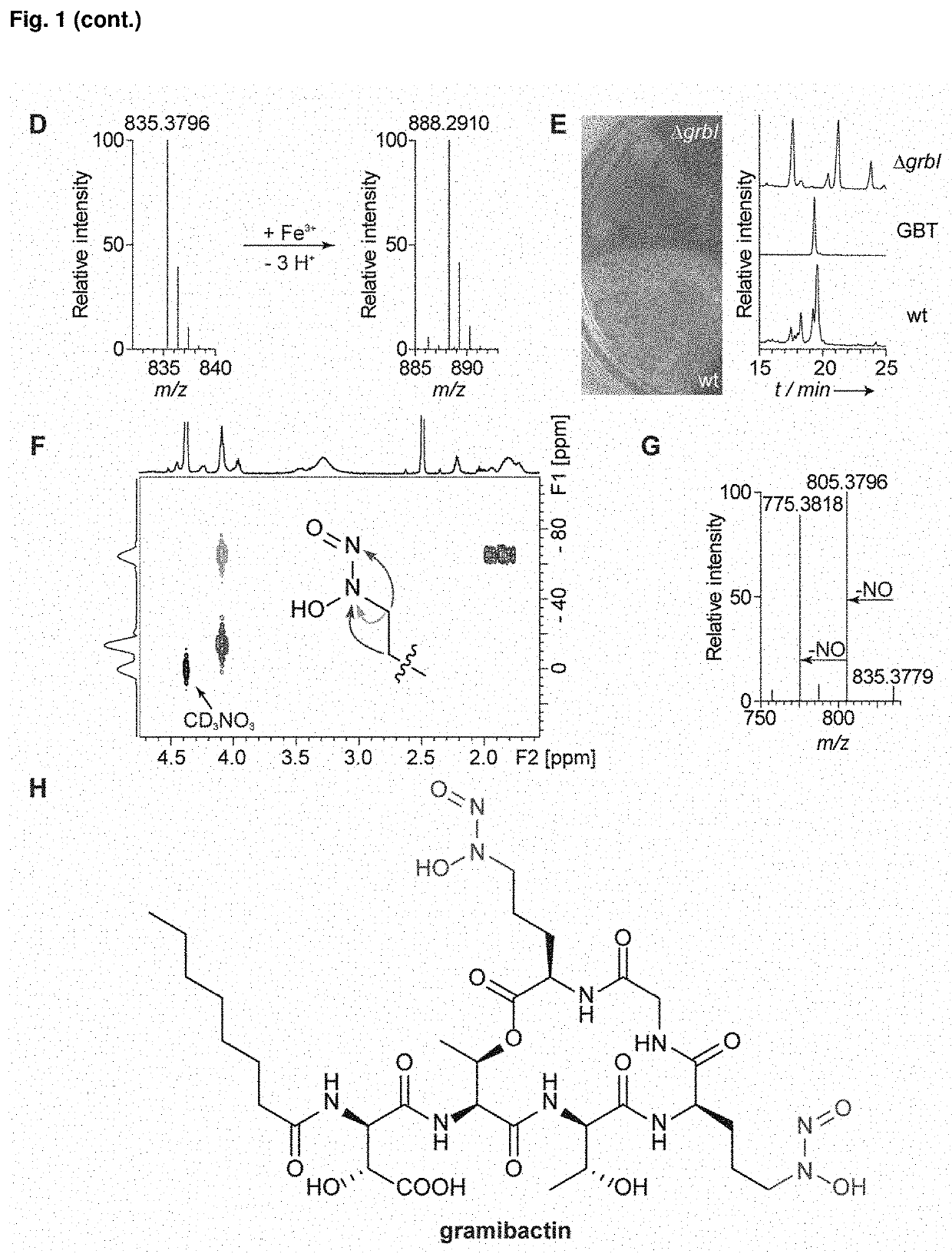 Bacterial siderophore gramibactin