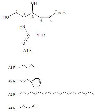 Ceramide analog a and its preparation method and application