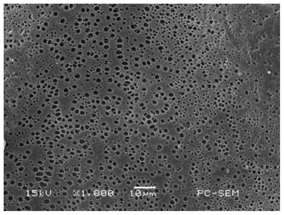 Fluorescent polymer, Fe 3+ detection test paper and preparation method and application thereof
