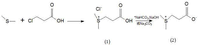 Method for preparing dimethyl-beta-propiothetin